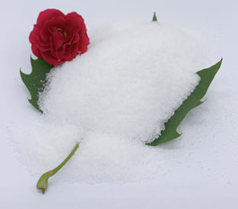 Ubwoko Bya ni Birenzeho Bihuye neza ya: